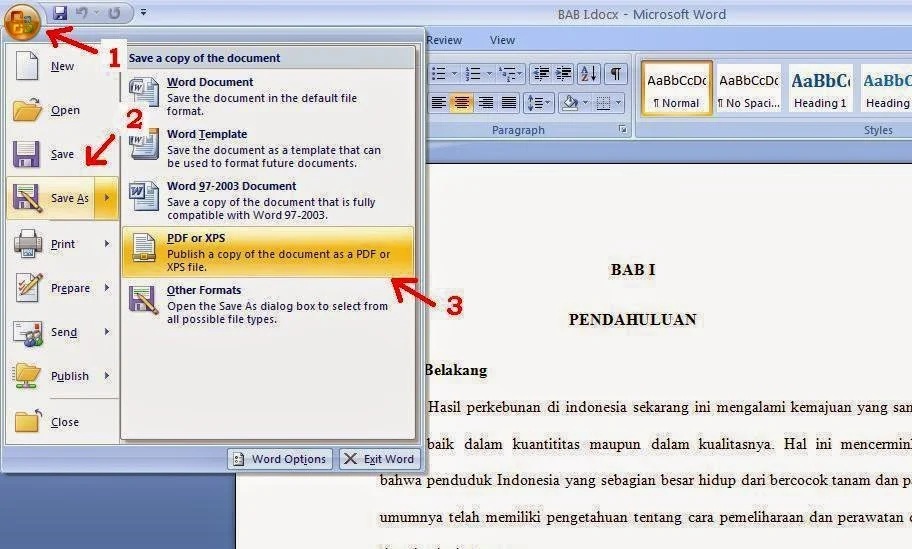 3 Cara Mudah Mengubah Dokumen Word 2007 ke PDF yang Jarang Diketahui Ternyata Bisa