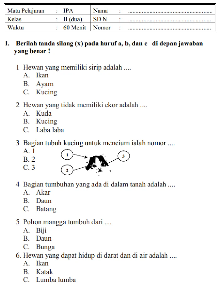 5 Contoh Soal Kelas 2 Tema 1 Sub Tema3 yang Wajib Dikuasai Siswa Agar Nilai Sempurna