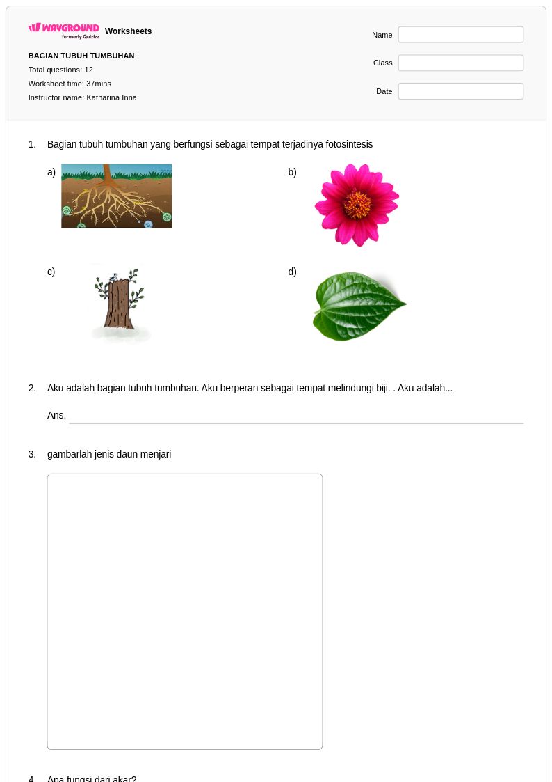 Akhirnya Terungkap 7 Contoh Soal C1 Sampai C6 Kelas 4 Tubuh Tumbuhan yang Wajib Dikuasai